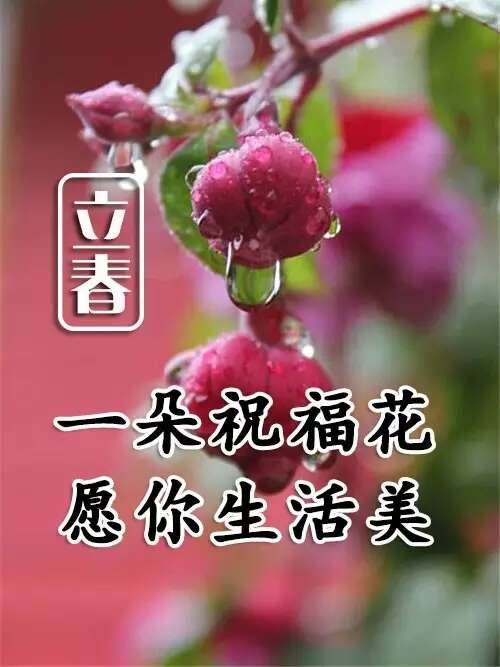 早上好,腔友们!今日立春,祝福送上!