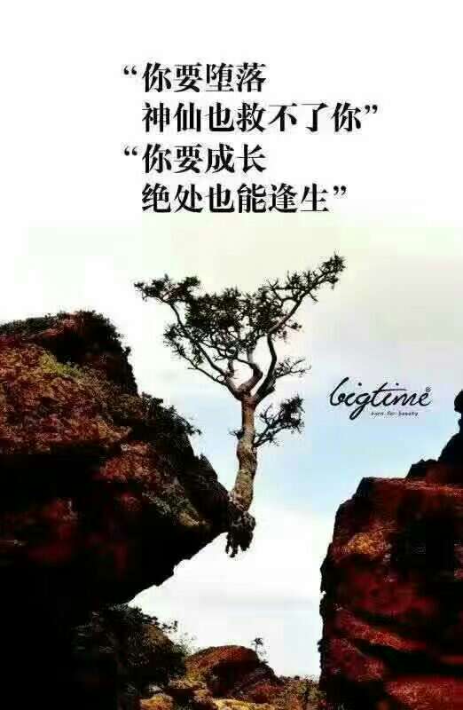 生活顺其自然就好,是你的终是你的,不是你的莫强求!