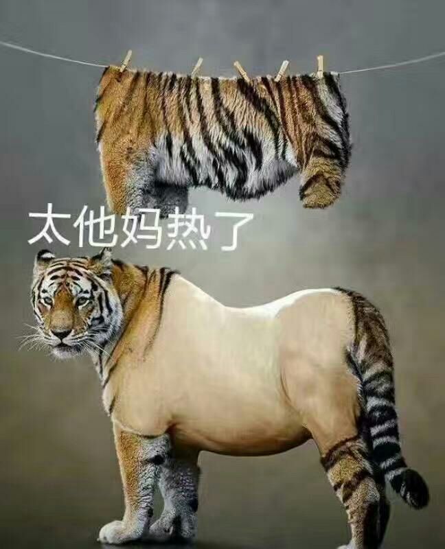 来自无情谷的腔友圈