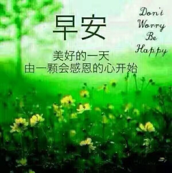 八月早安      