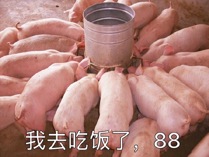 来自胡噜噜爱吃肉.的腔友圈