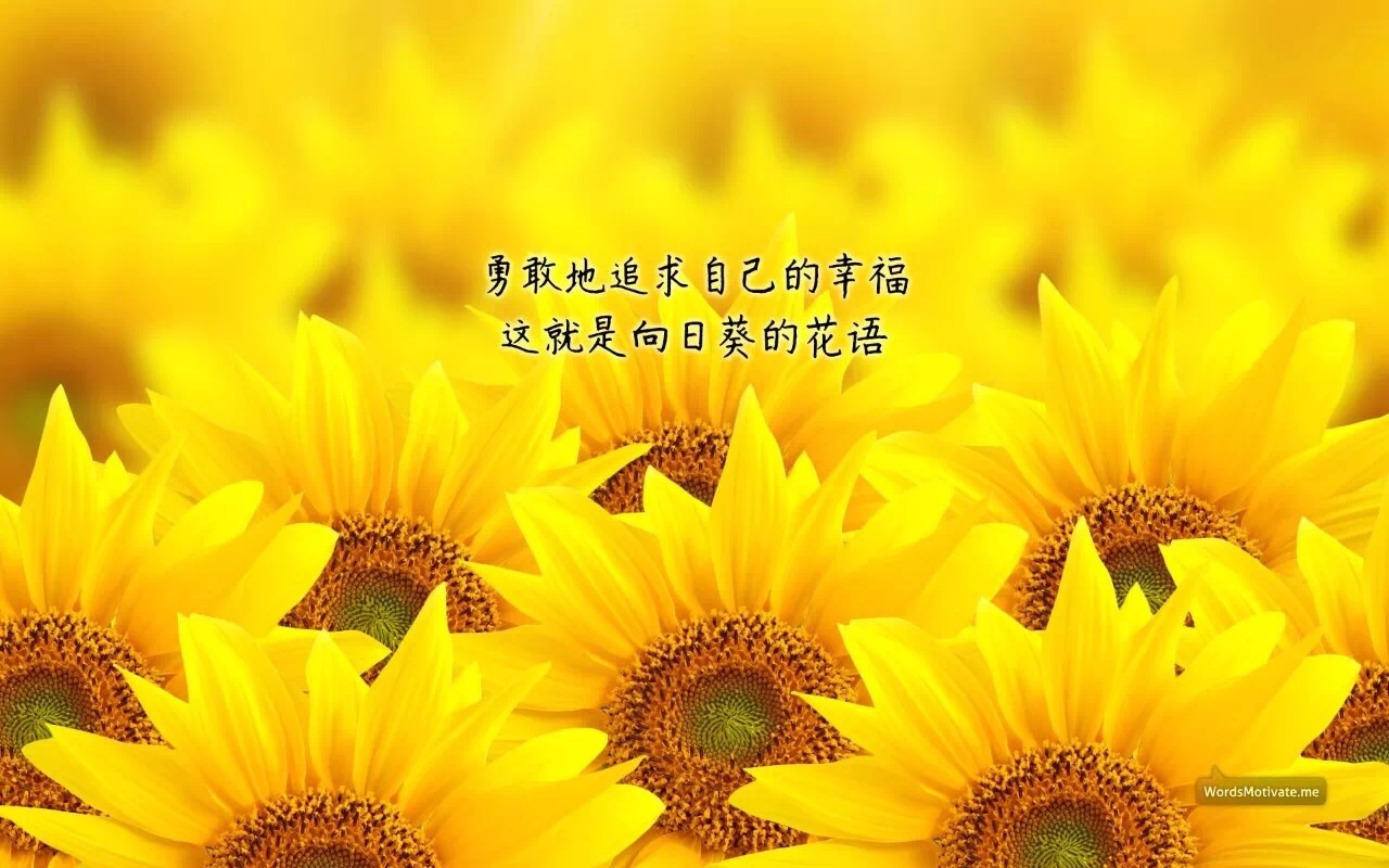 相信人,相信感情,相信善良的存在;要开朗,要坚韧,要温暖