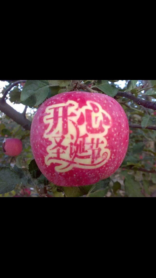 一个毒倒了白雪公主,一个诱惑了夏娃,一个砸醒了