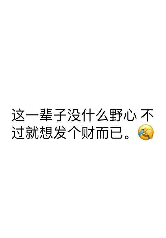 这辈子没什么野心,就是想发个财而已