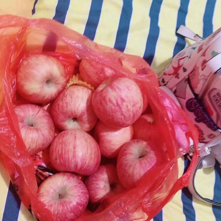 手机已还给失主,爷爷奶奶太客气了非要给我一袋子水果. 刘小朵.49