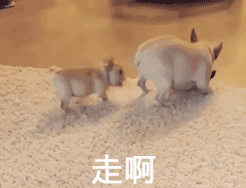 来自化作孤岛的蓝鲸的腔友圈