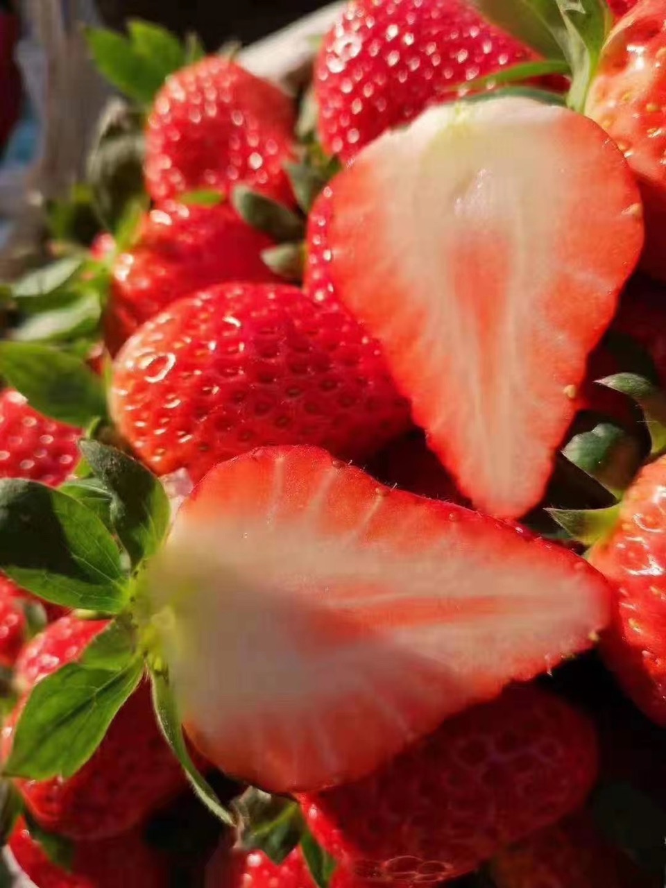 �簲�����첻���� ..