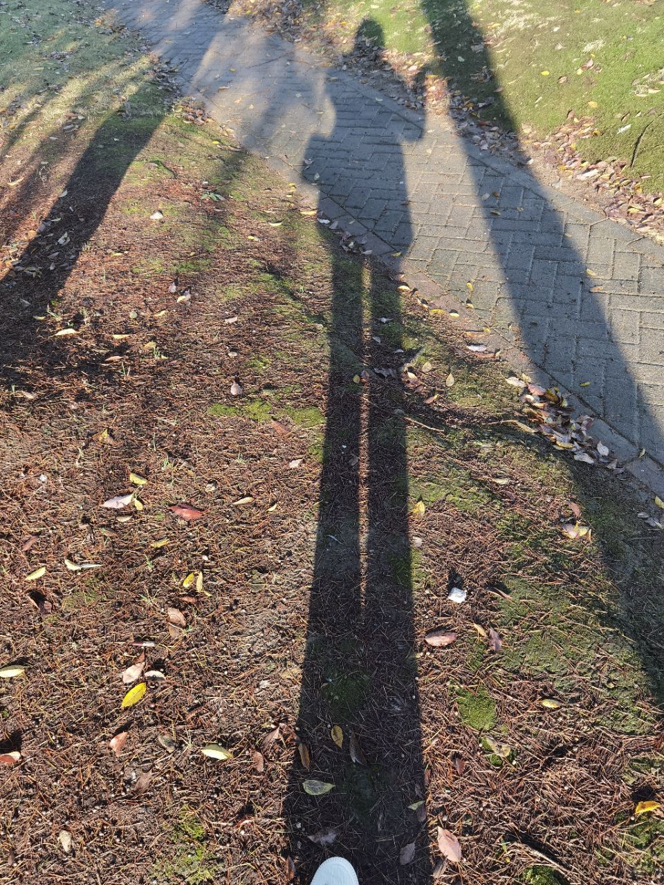 �磬̫���ˣ���˵ ..